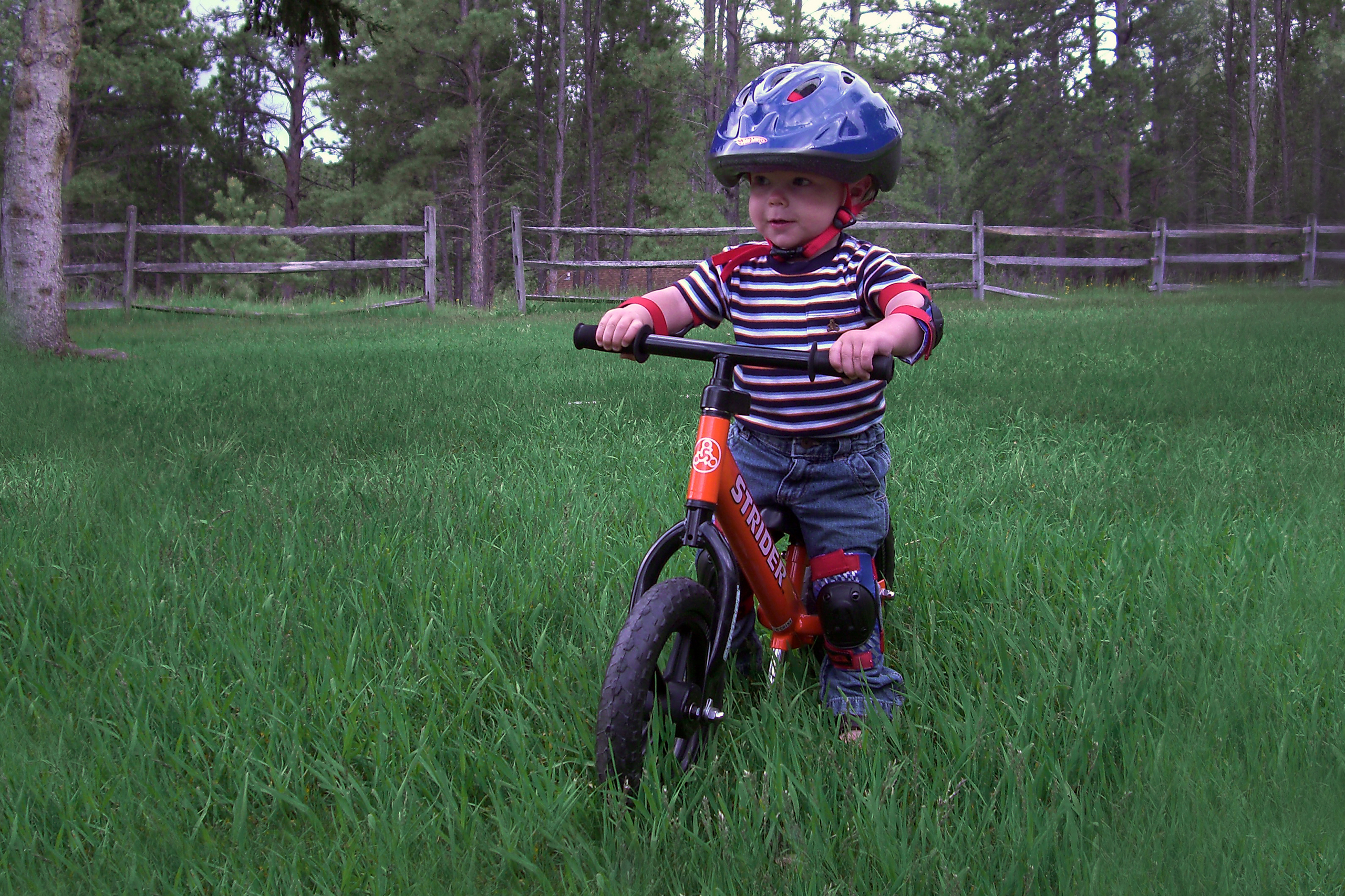 Strider bike video hot sale 2 year old